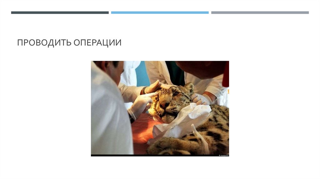 Проводить операции