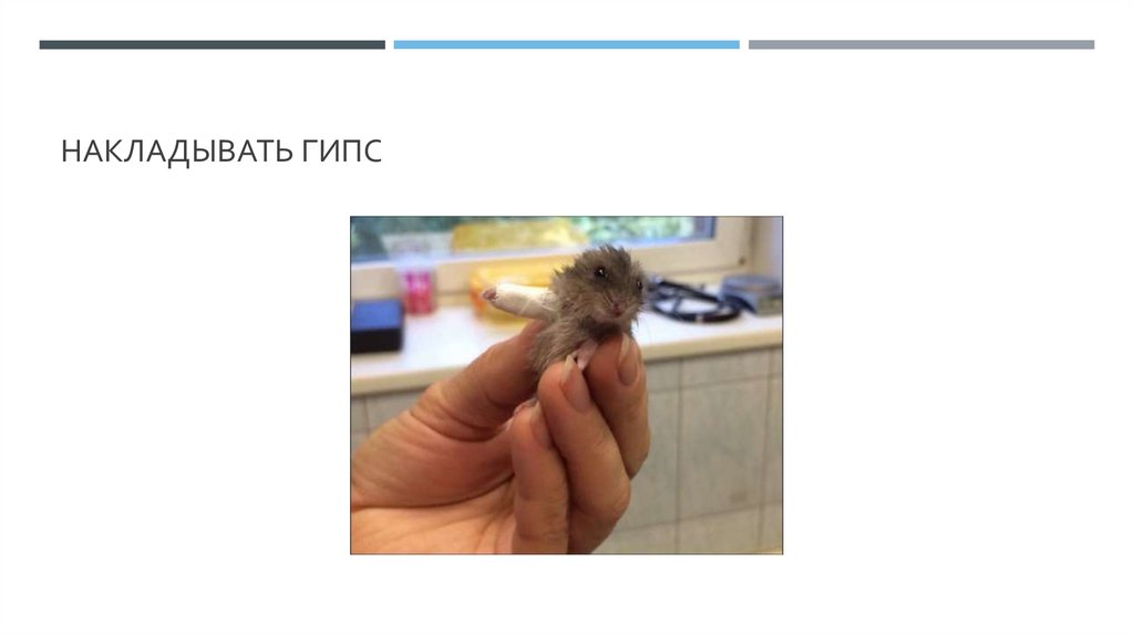 Накладывать гипс