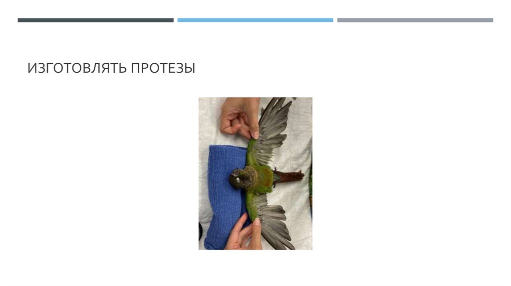 Изготовлять протезы