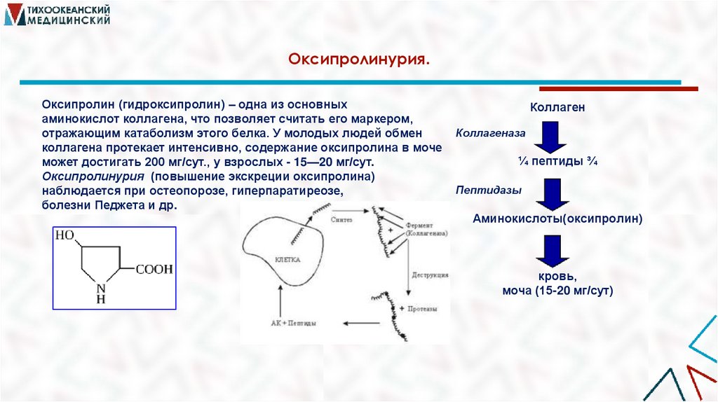 Оксипролинурия.