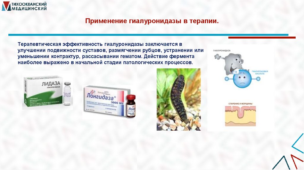 Применение гиалуронидазы в терапии.