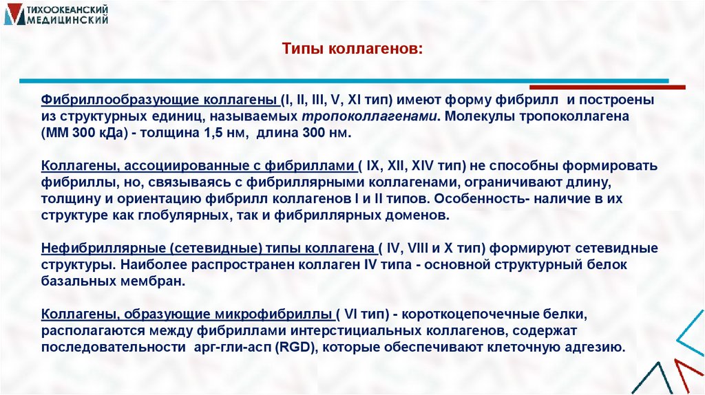 Типы коллагенов: