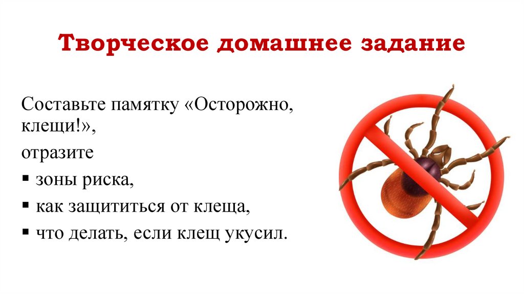 Творческое домашнее задание