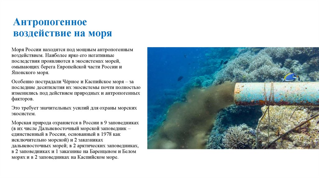 Антропогенное воздействие на моря