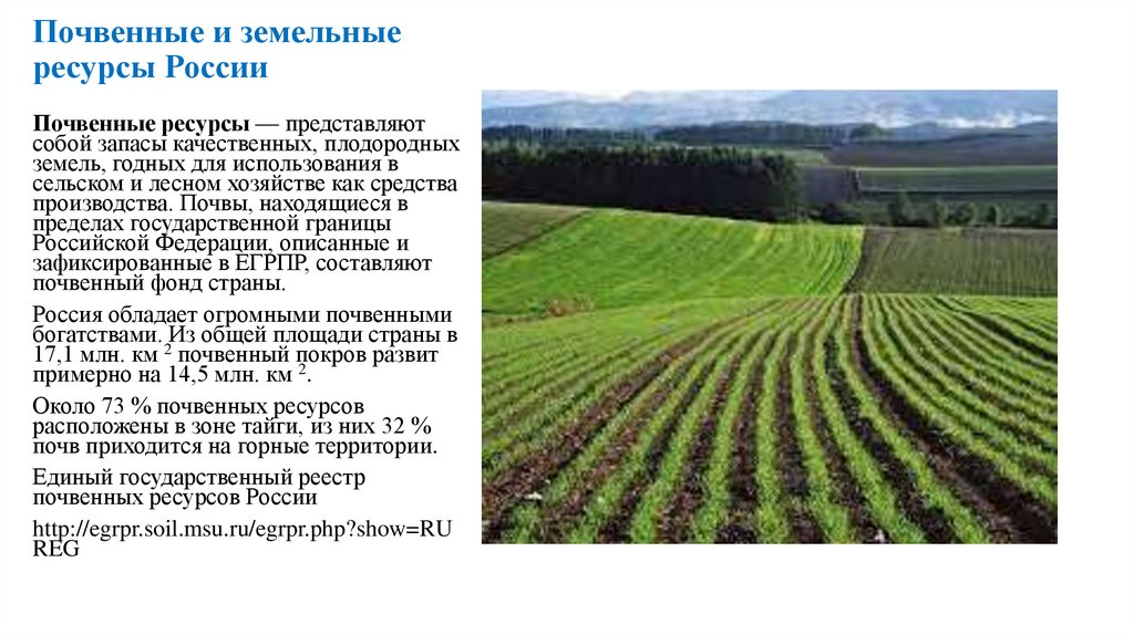 Почвенные и земельные ресурсы России