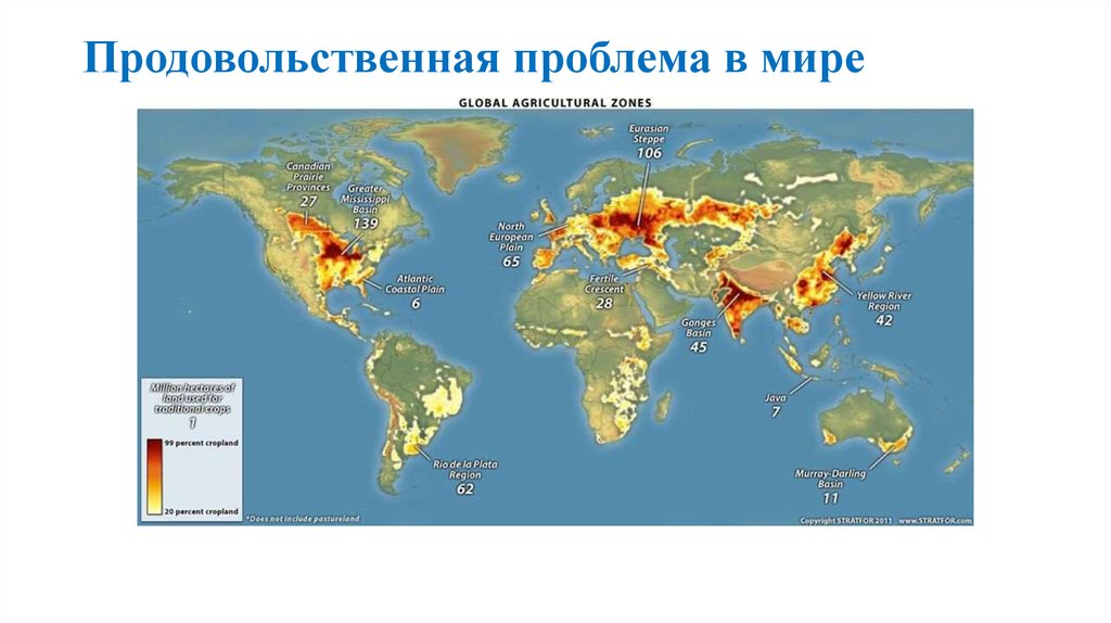 Продовольственная проблема в мире