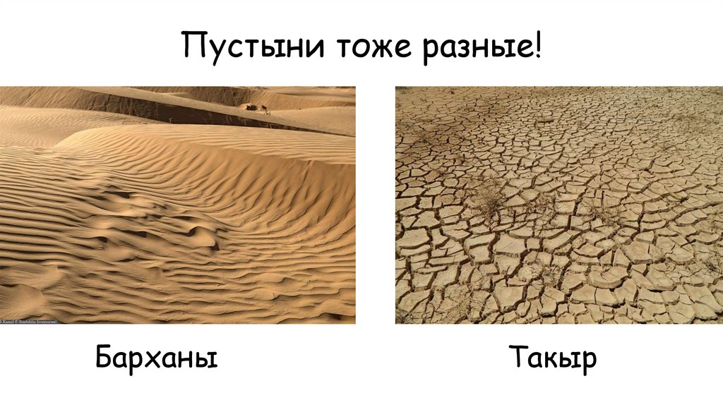 Пустыни тоже разные!