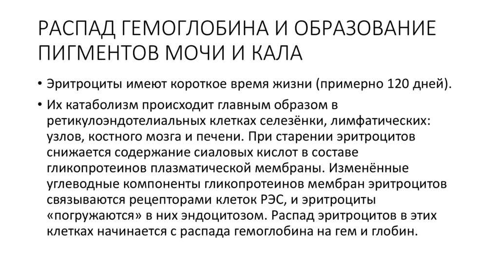 РАСПАД ГЕМОГЛОБИНА И ОБРАЗОВАНИЕ ПИГМЕНТОВ МОЧИ И КАЛА