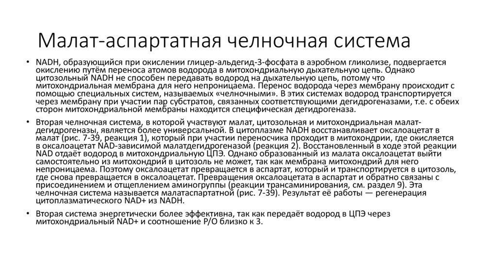 Малат-аспартатная челночная система