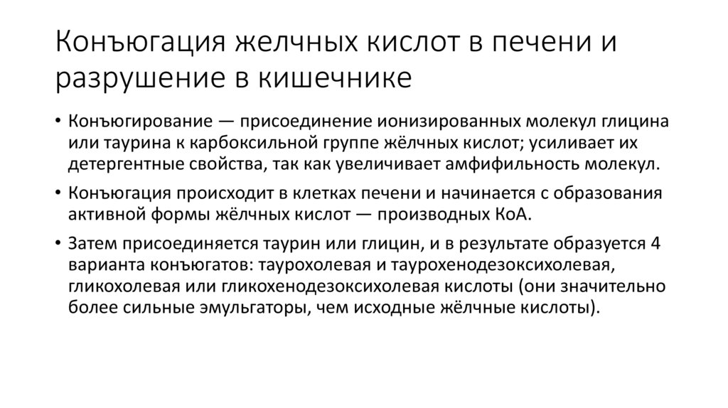 Конъюгация желчных кислот в печени и разрушение в кишечнике