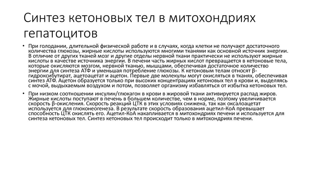 Синтез кетоновых тел в митохондриях гепатоцитов