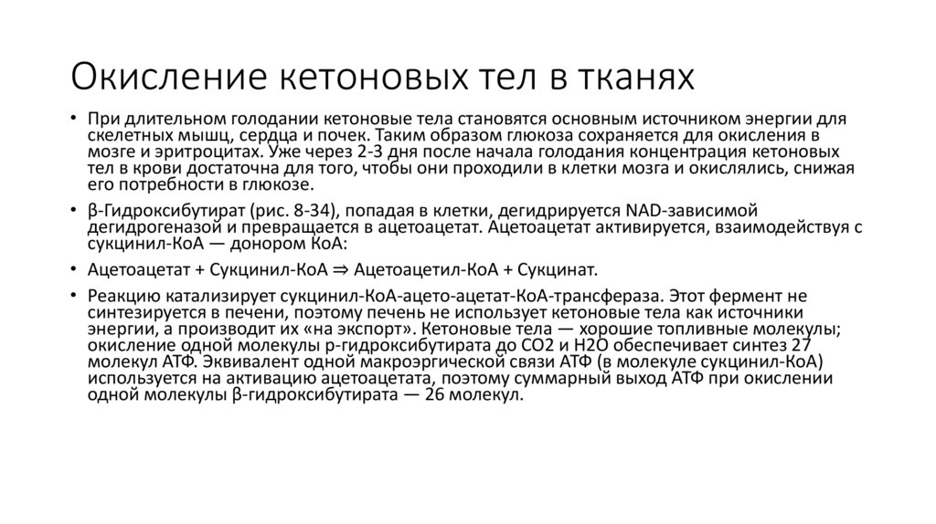 Окисление кетоновых тел в тканях