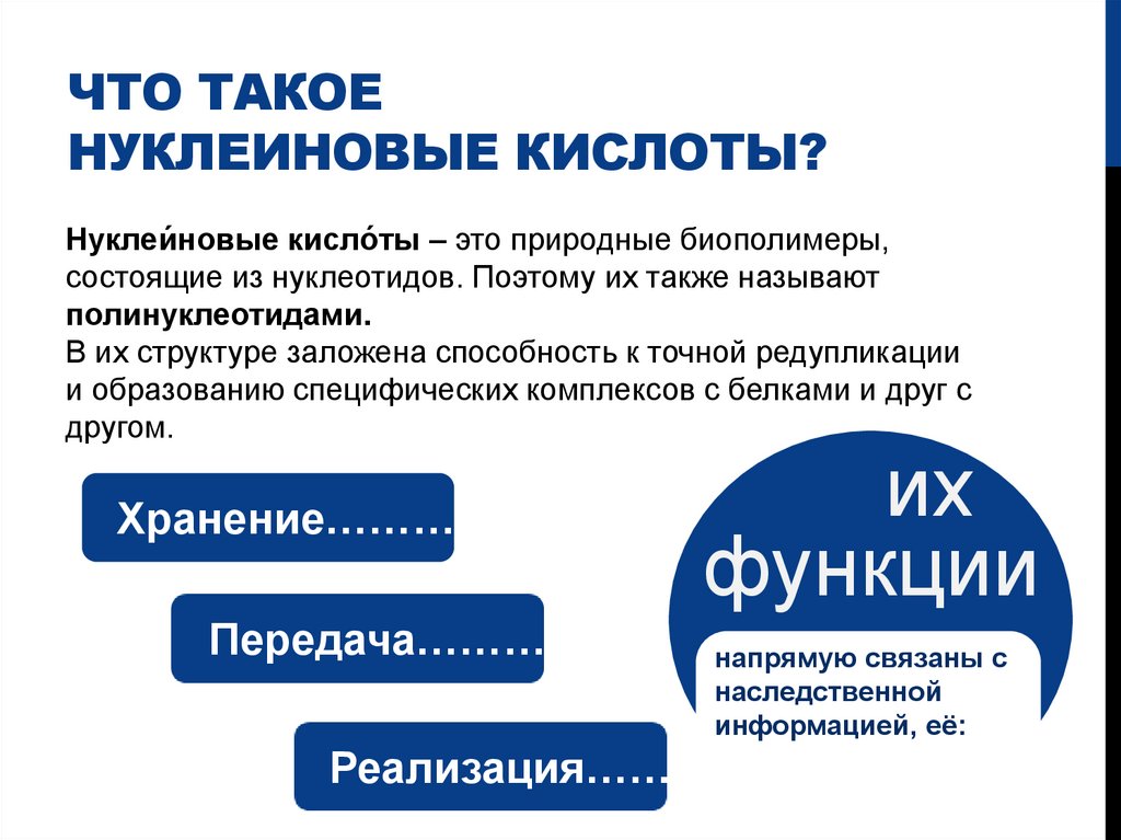 Что такое Нуклеиновые кислоты?
