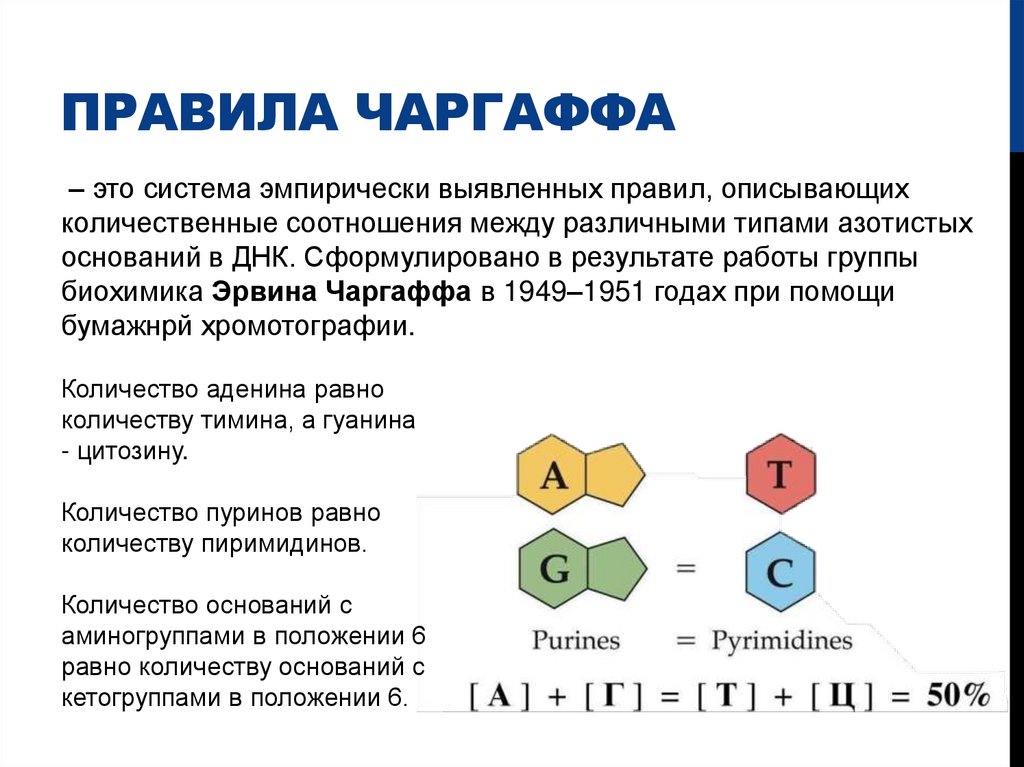 Правила чаргаффа