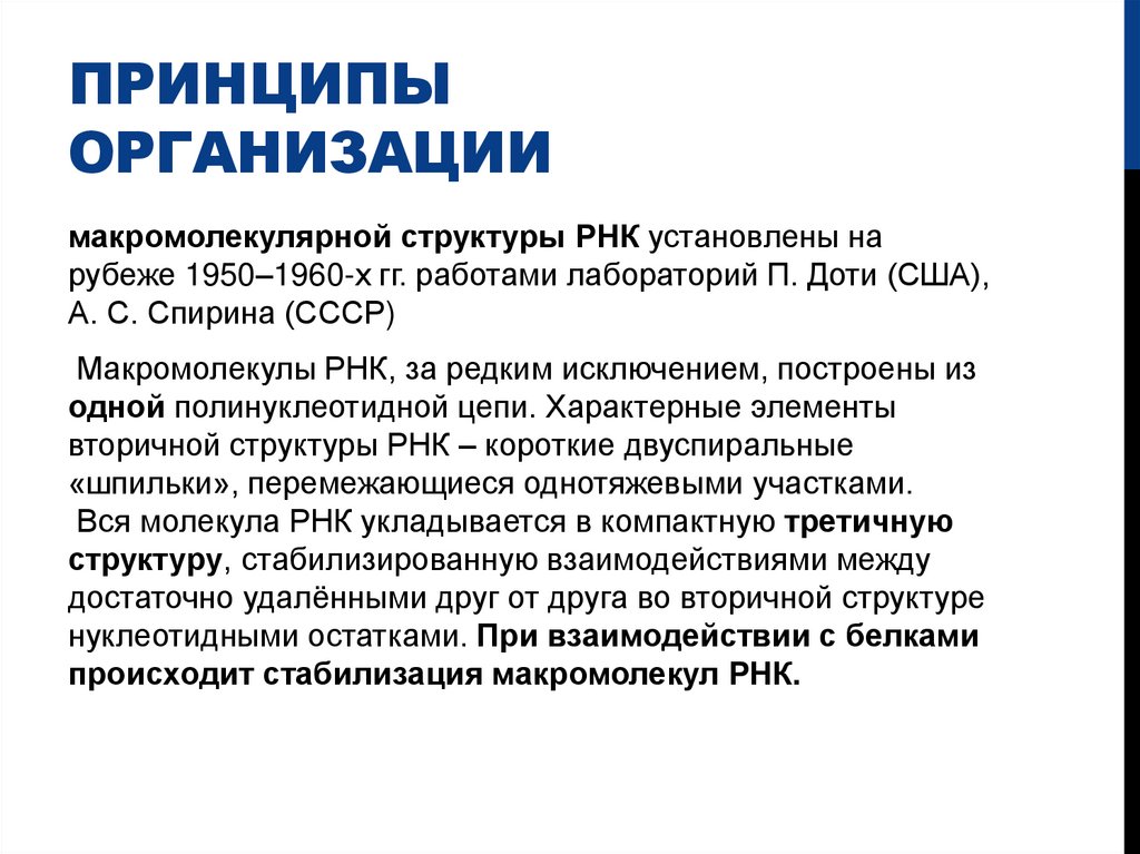 Принципы организации