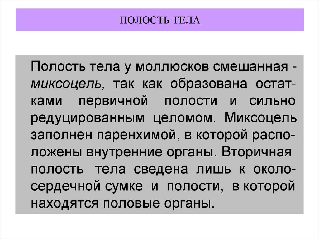 ПОЛОСТЬ ТЕЛА