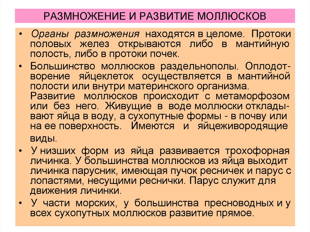 РАЗМНОЖЕНИЕ И РАЗВИТИЕ МОЛЛЮСКОВ