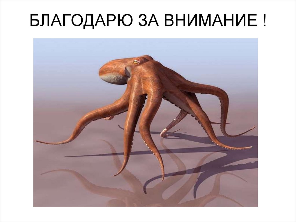 БЛАГОДАРЮ ЗА ВНИМАНИЕ !