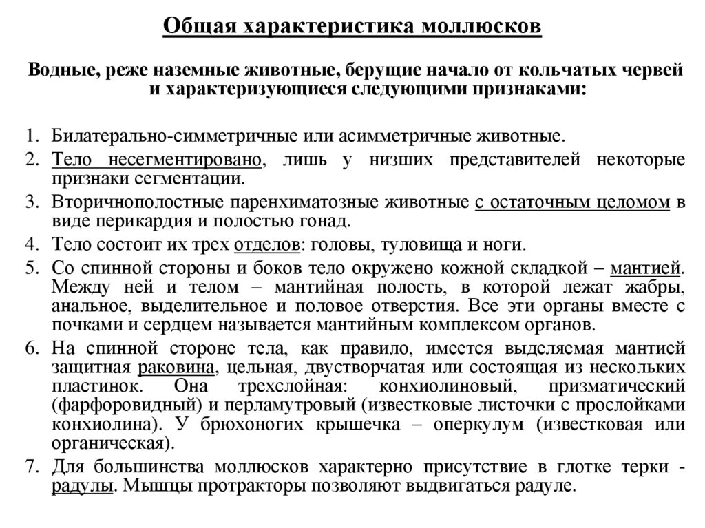 Общая характеристика моллюсков