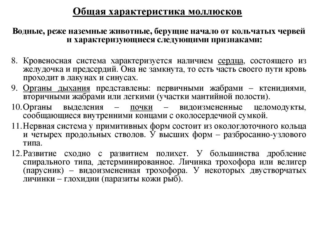 Общая характеристика моллюсков