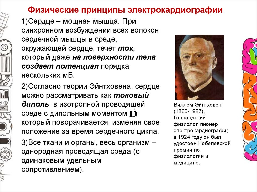 Физические принципы электрокардиографии