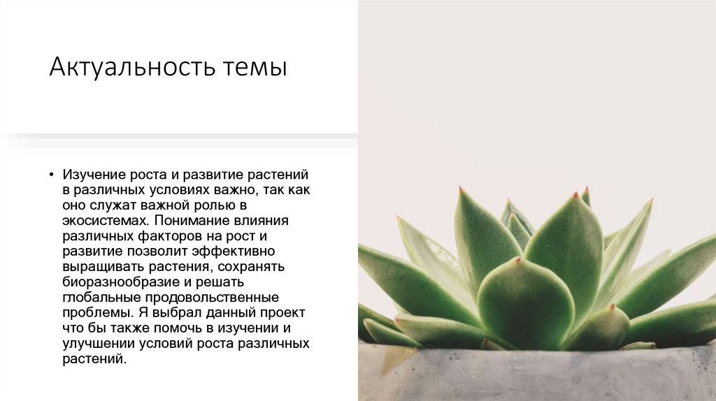 Актуальность темы