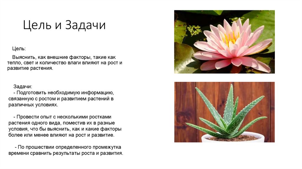 Цель и Задачи