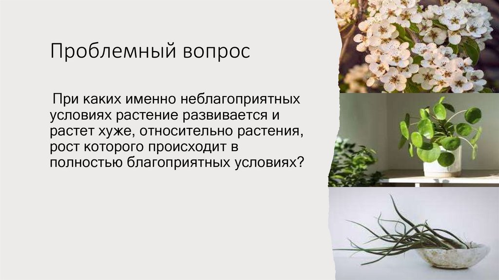 Проблемный вопрос