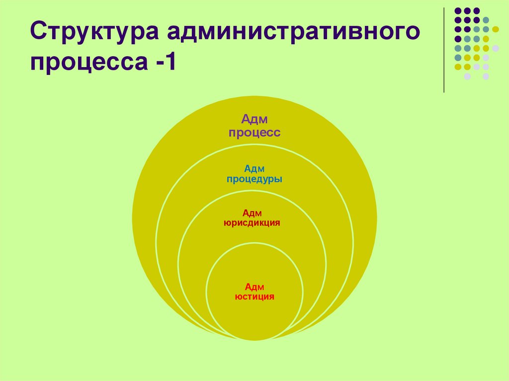 Структура административного процесса -1