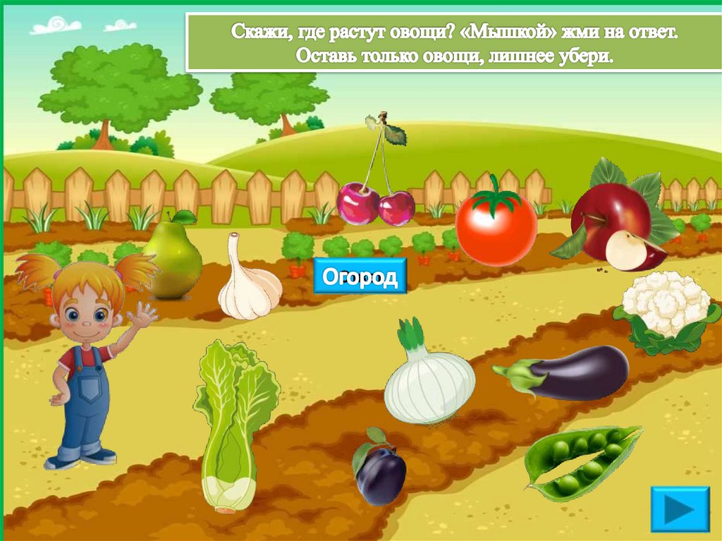 Скажи, где растут овощи? «Мышкой» жми на ответ. Оставь только овощи, лишнее убери.