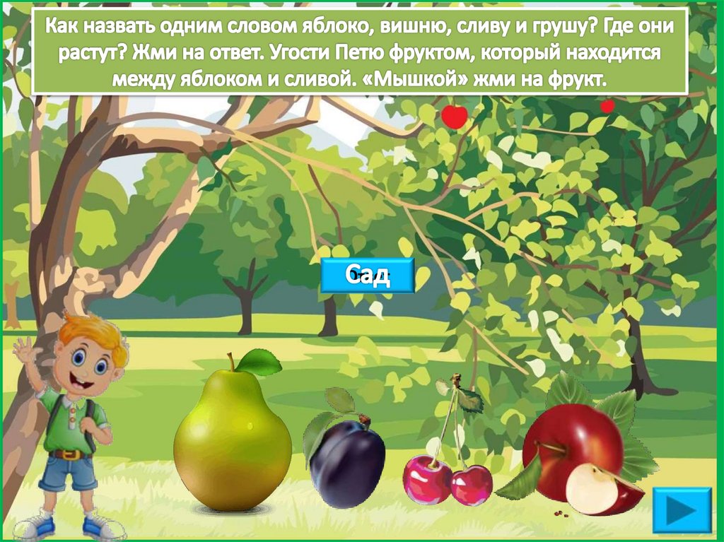 Как назвать одним словом яблоко, вишню, сливу и грушу? Где они растут? Жми на ответ. Угости Петю фруктом, который находится
