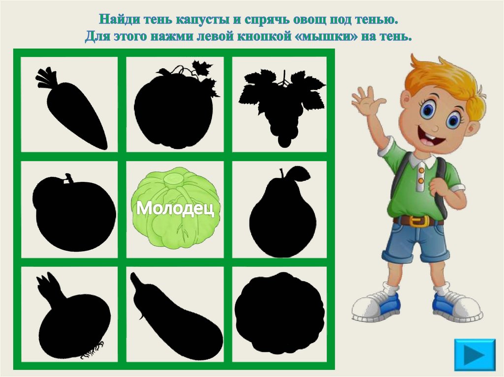 Найди тень капусты и спрячь овощ под тенью. Для этого нажми левой кнопкой «мышки» на тень.