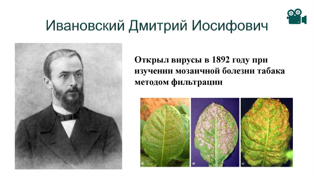 Ивановский Дмитрий Иосифович