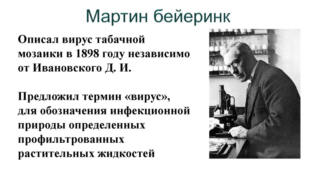 Мартин бейеринк