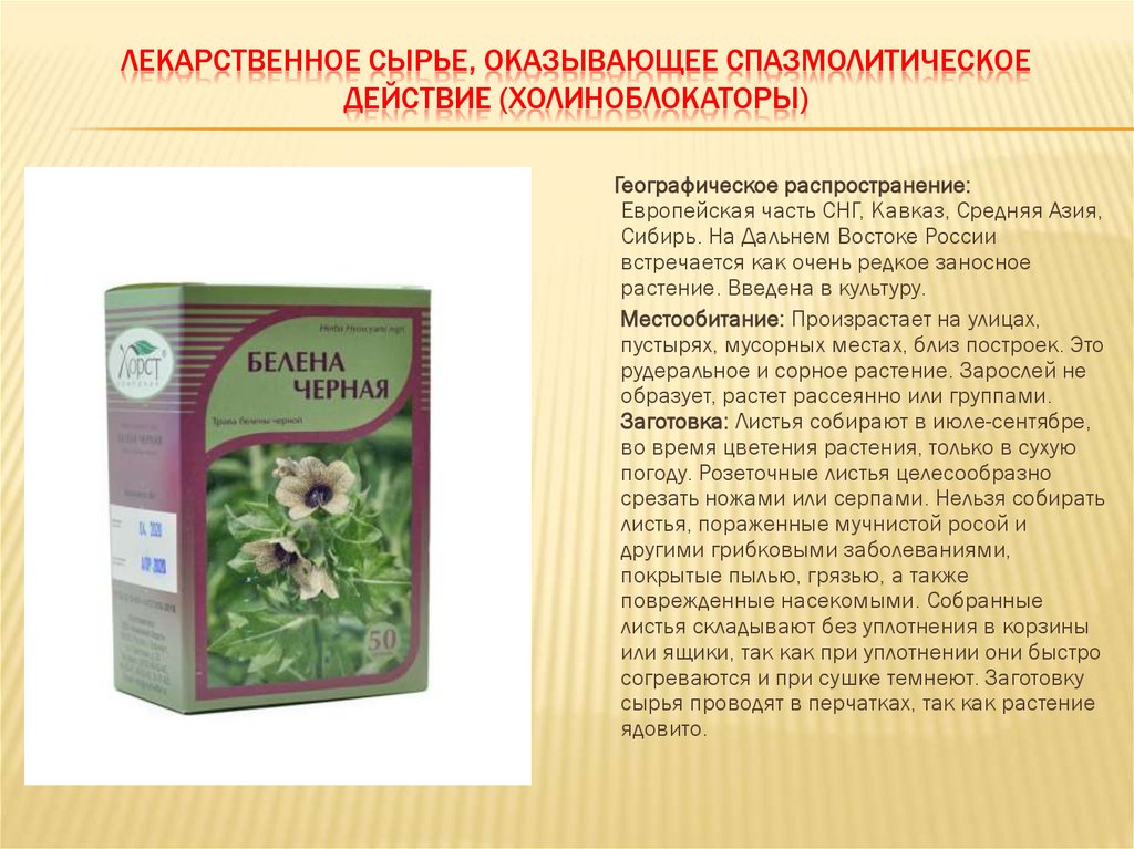 ЛЕКАРСТВЕННОЕ СЫРЬЕ, ОКАЗЫВАЮЩЕЕ СПАЗМОЛИТИЧЕСКОЕ ДЕЙСТВИЕ (ХОЛИНОБЛОКАТОРЫ)