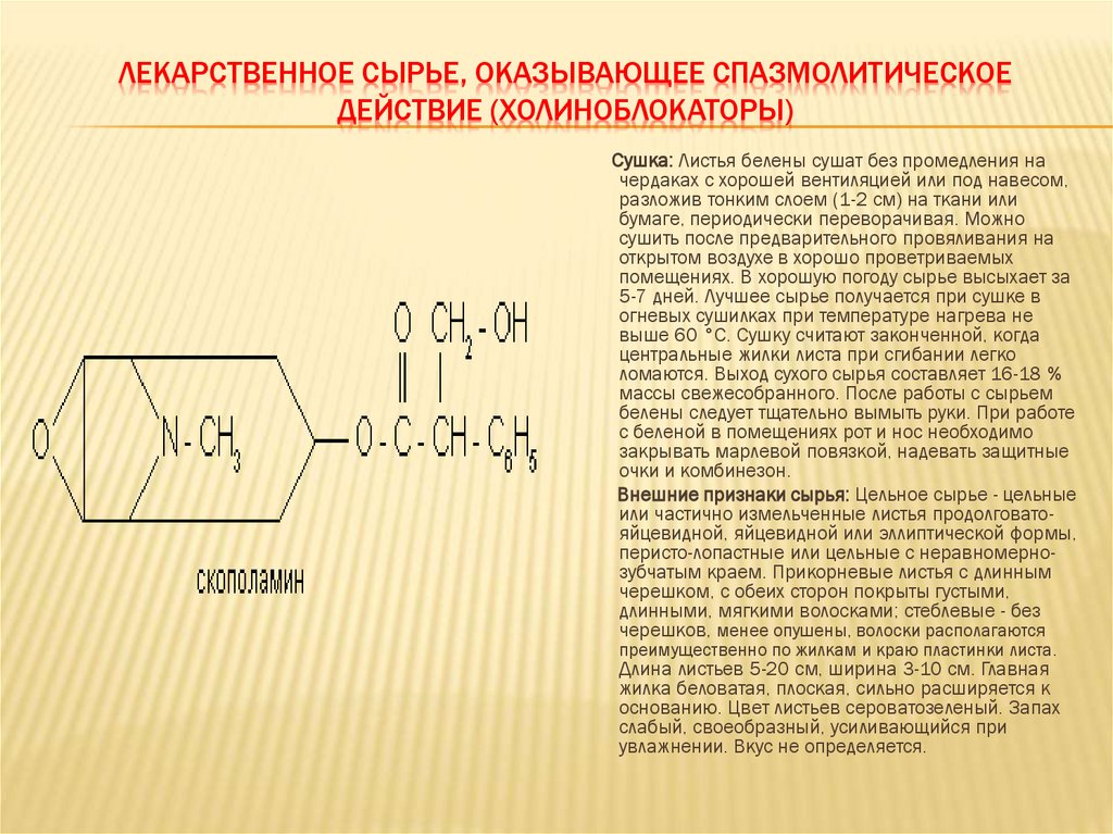 ЛЕКАРСТВЕННОЕ СЫРЬЕ, ОКАЗЫВАЮЩЕЕ СПАЗМОЛИТИЧЕСКОЕ ДЕЙСТВИЕ (ХОЛИНОБЛОКАТОРЫ)