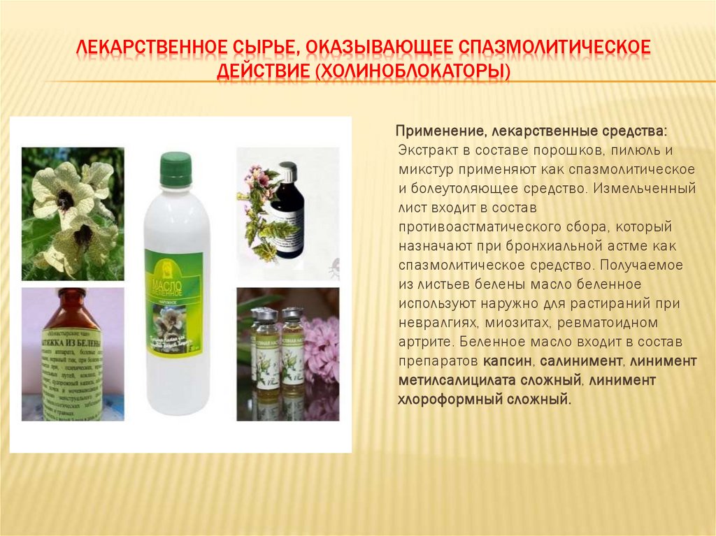 ЛЕКАРСТВЕННОЕ СЫРЬЕ, ОКАЗЫВАЮЩЕЕ СПАЗМОЛИТИЧЕСКОЕ ДЕЙСТВИЕ (ХОЛИНОБЛОКАТОРЫ)