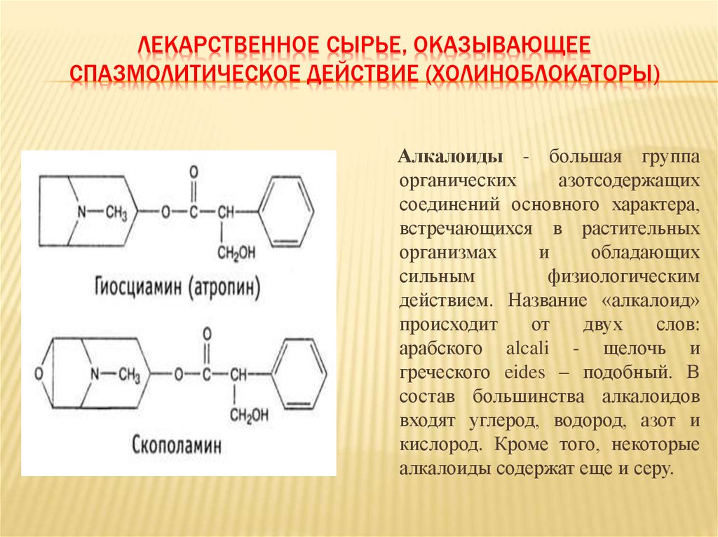 ЛЕКАРСТВЕННОЕ СЫРЬЕ, ОКАЗЫВАЮЩЕЕ СПАЗМОЛИТИЧЕСКОЕ ДЕЙСТВИЕ (ХОЛИНОБЛОКАТОРЫ)