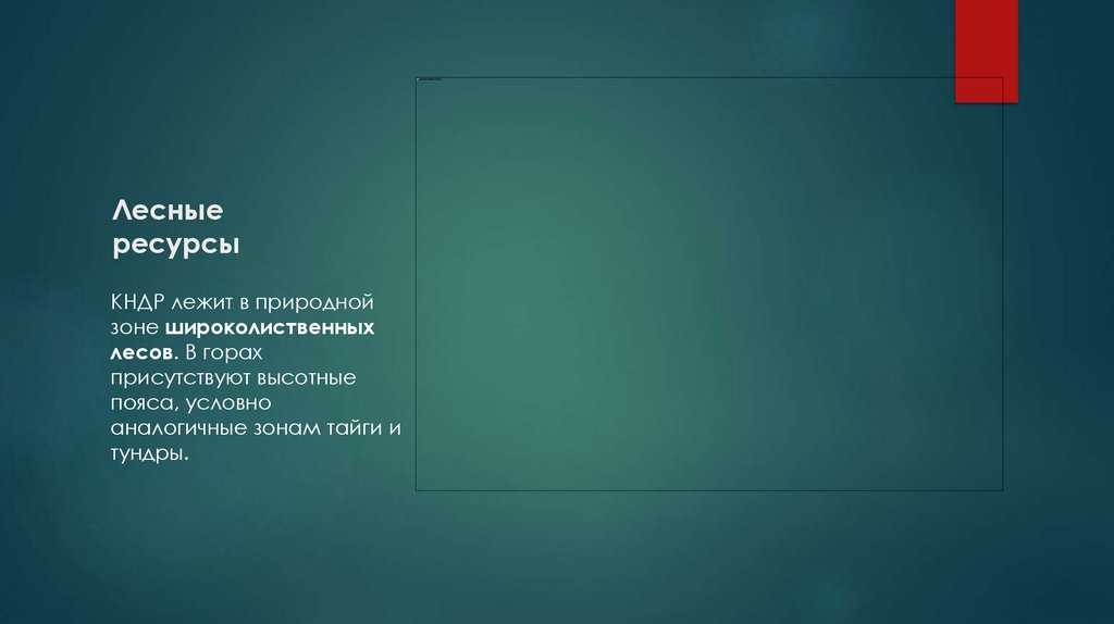 Лесные ресурсы