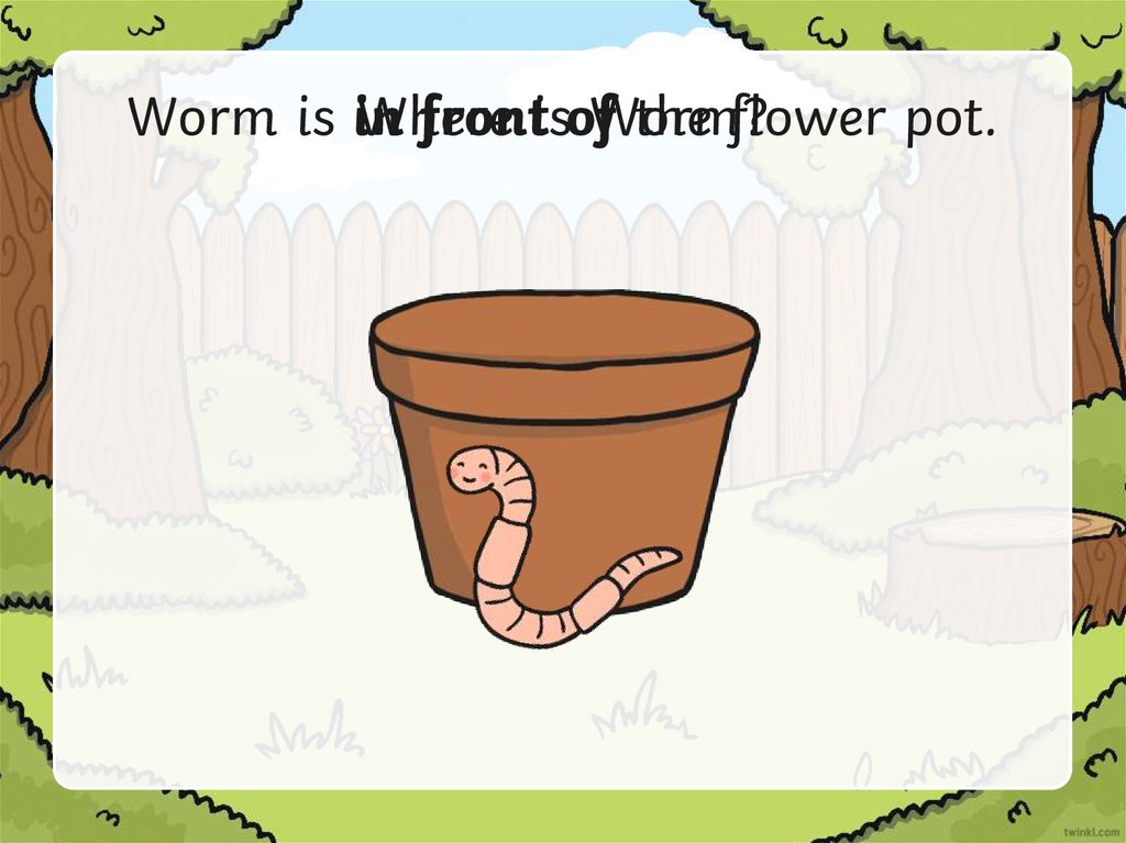 Where is Worm?