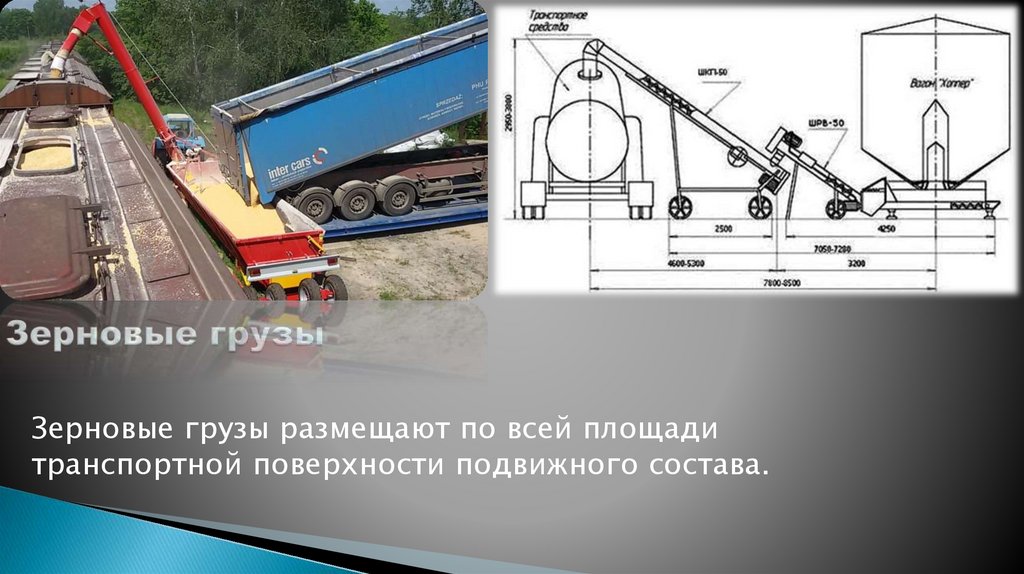 Зерновые грузы