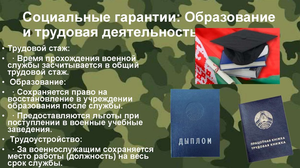 Социальные гарантии: Образование и трудовая деятельность