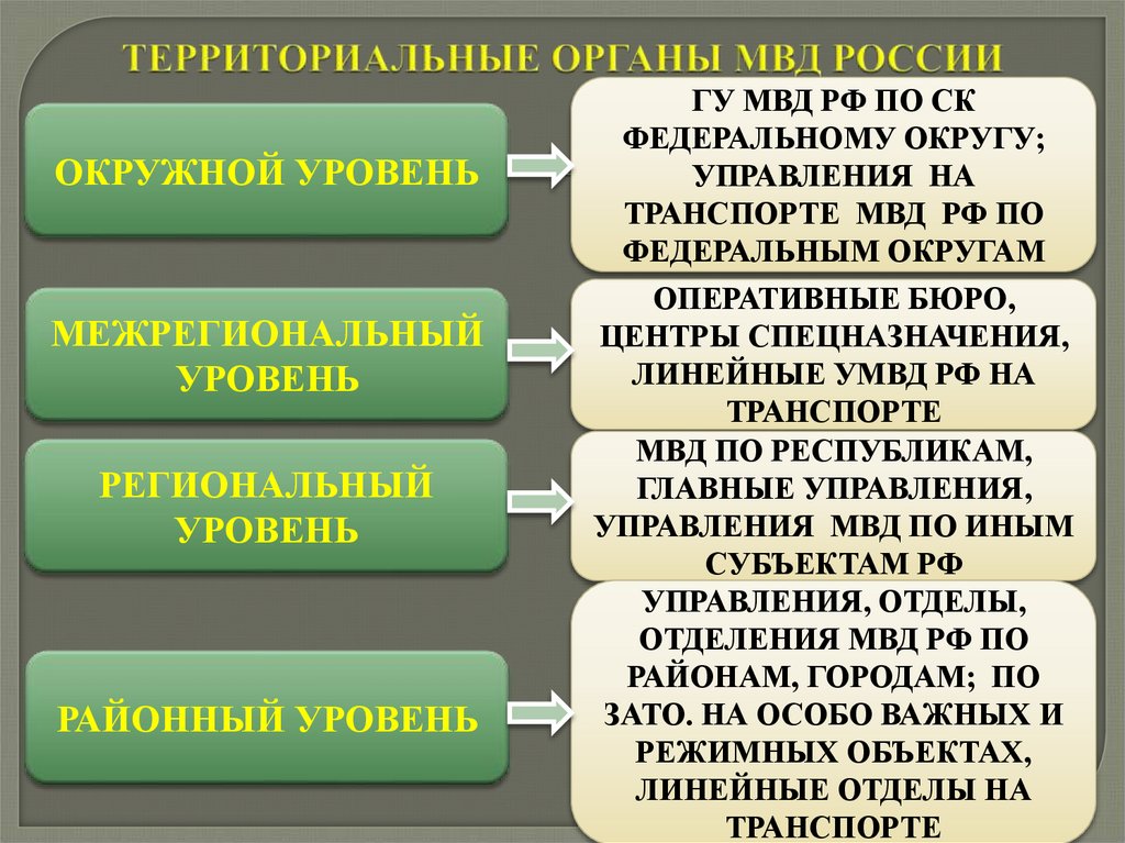 ТЕРРИТОРИАЛЬНЫЕ ОРГАНЫ МВД РОССИИ