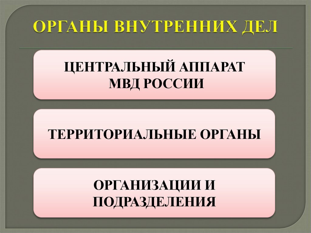 ОРГАНЫ ВНУТРЕННИХ ДЕЛ