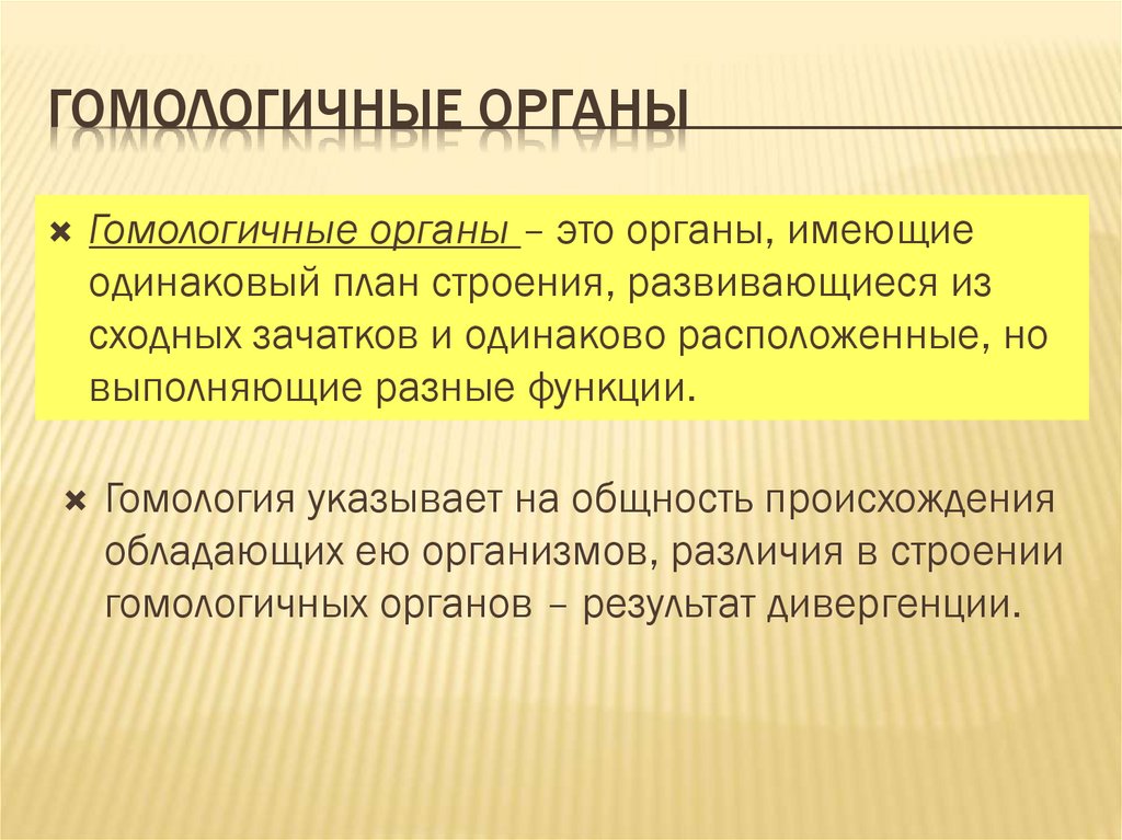Гомологичные органы
