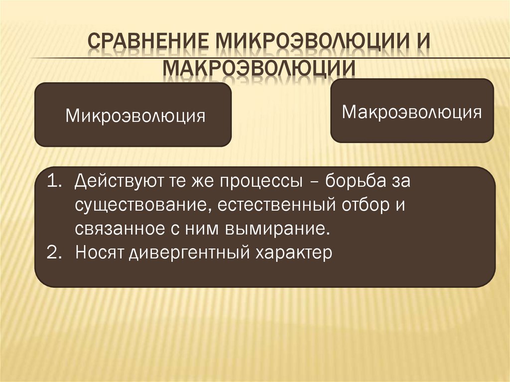 Сравнение микроэволюции и макроэволюции