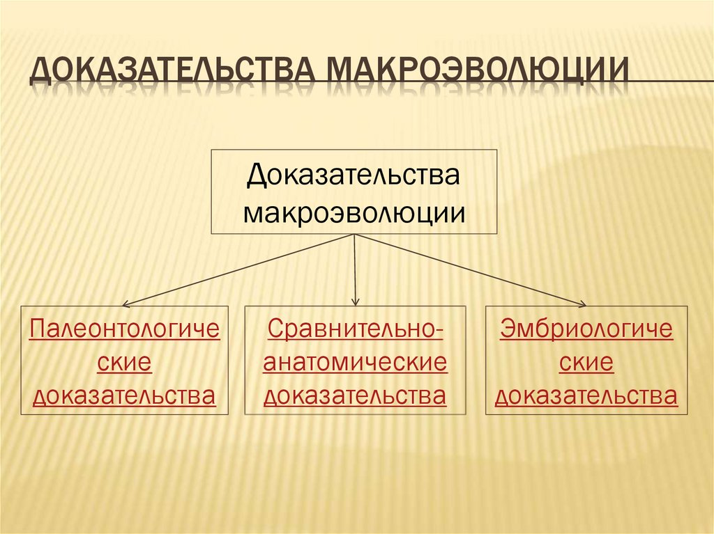 Доказательства макроэволюции