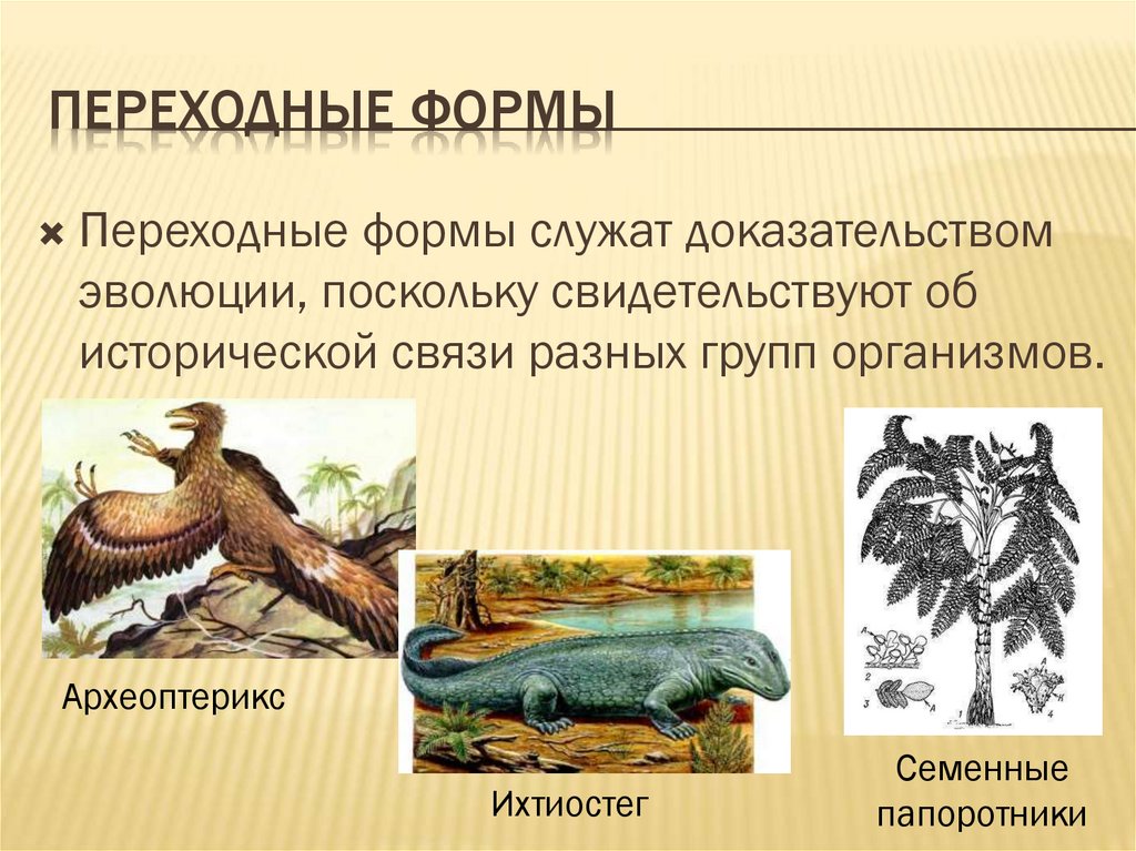 Переходные формы