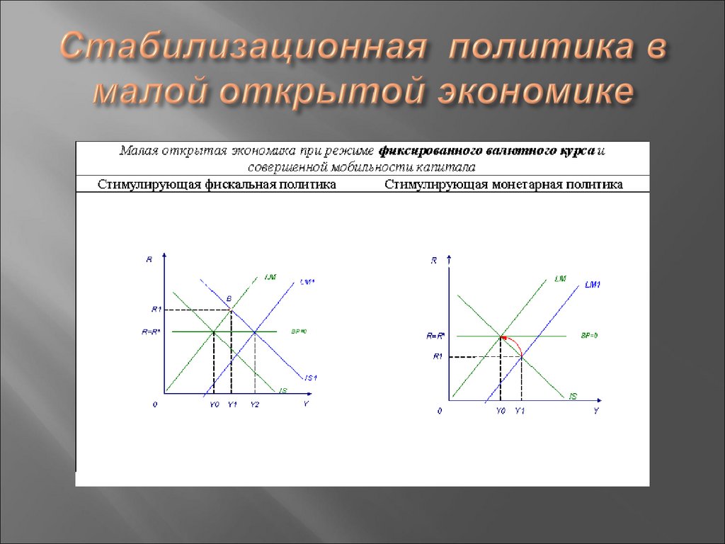 Стабилизационная политика в малой открытой экономике