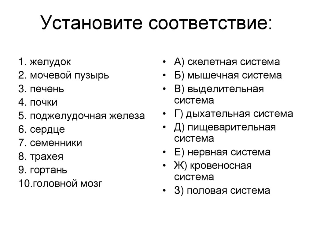 Установите соответствие: